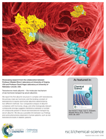 Testosterone meets albumin - the molecular mechanism of sex hormone transport by serum albumins.