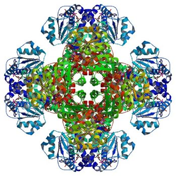 Crystal structure of tm0922, a fusion of a domain of unknown function and ADP/ATP-dependent NAD(P)H-hydrate dehydratase from Thermotoga maritima in complex with ADP-ribose (3RS8)