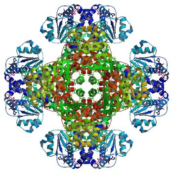 Crystal structure of tm0922, a fusion of a domain of unknown function and ADP/ATP-dependent NAD(P)H-hydrate dehydratase from Thermotoga maritima in complex with P1,P4-Di(adenosine-5') tetraphosphate (3RSF)