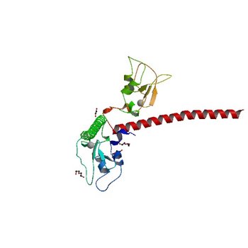 Crystal structure of human Survivin H80A mutant (3UEH)
