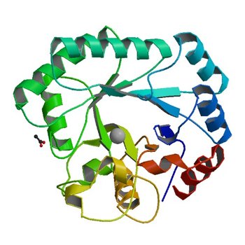 Crystal structure of xylose isomerase domain containing protein (stm4435) from salmonella typhimurium lt2 with unknown ligand (4HGX)