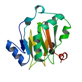 Acireductone dioxygenase from Bacillus anthracis with three cadmium ions (4QGL)