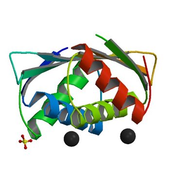 Crystal structure of the ACT domain of prephenate dehydrogenase tyrA from Bacillus anthracis (5V0S)